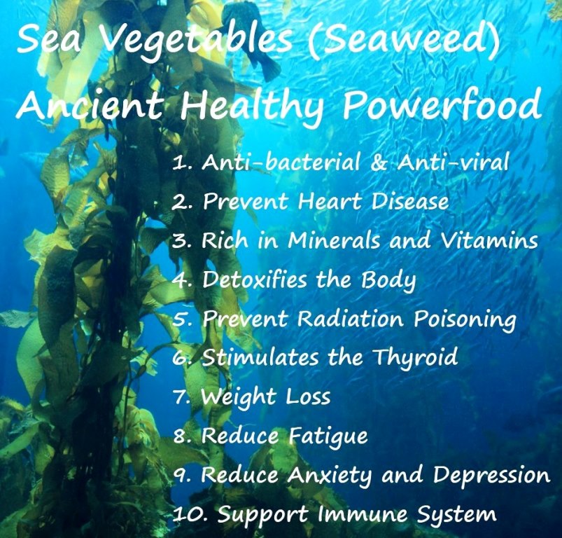 Seaweed Health Benefits 