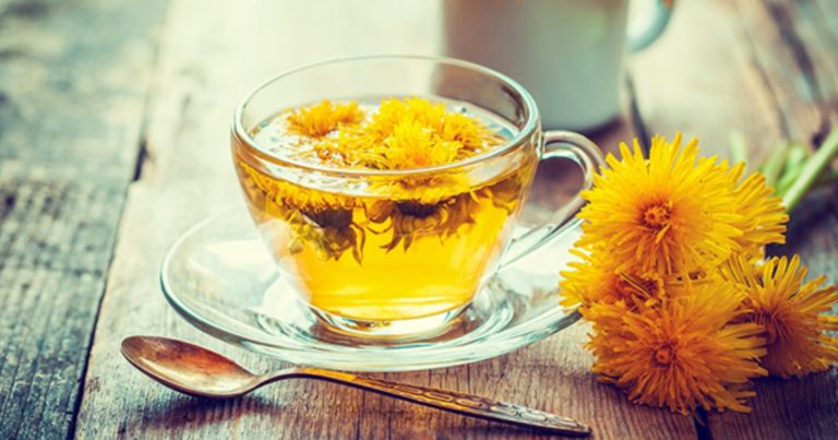 Dandelion Flower Syrup Recipe Is Healthy and You Will Find it Delicious