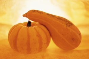 KABOCHA squash and pumpkin