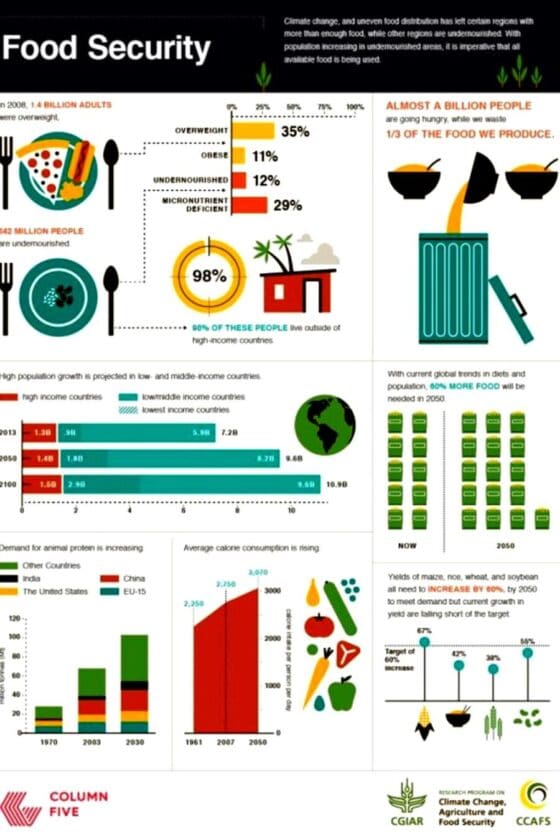 Future Of Our Food Is It Safe? Learn With Infographics Real Food for Life