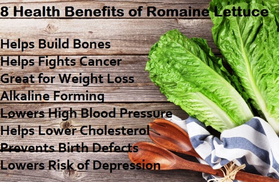 https://www.realfoodforlife.com/wp-content/uploads/2017/07/Romain-Lettuce-Health-Benefits.jpg