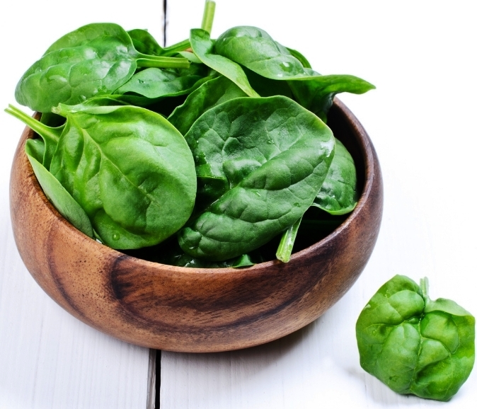 Spinach, a Superfood for Popeye and You is a Highly Nutritious Food