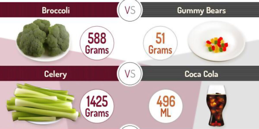 what-does-200-calories-look-like-infographic-real-food-for-life